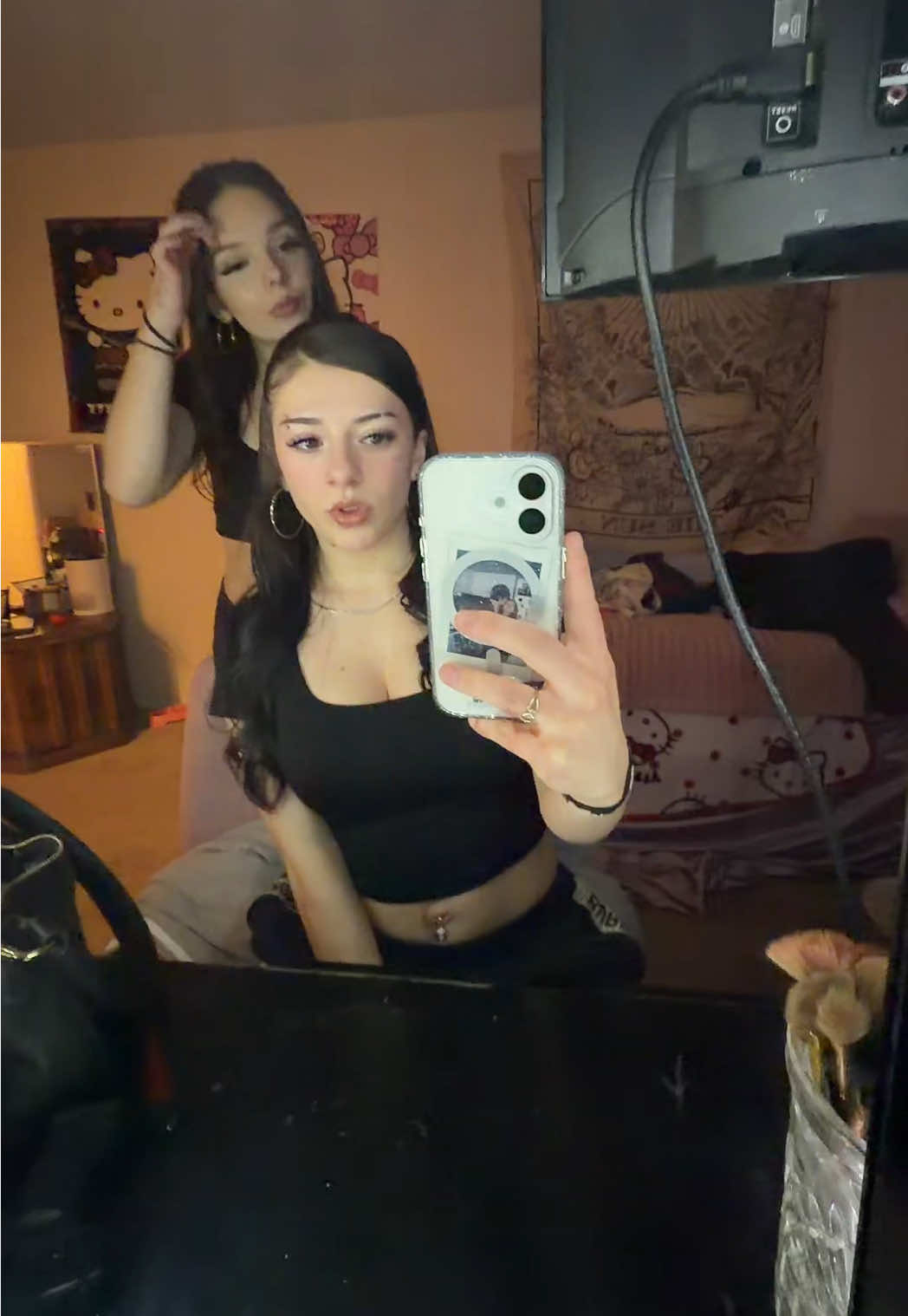 @gatolife2016