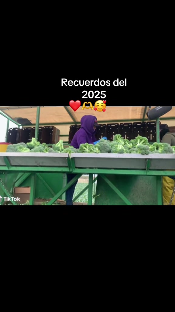 @{*Rosalía^❤️