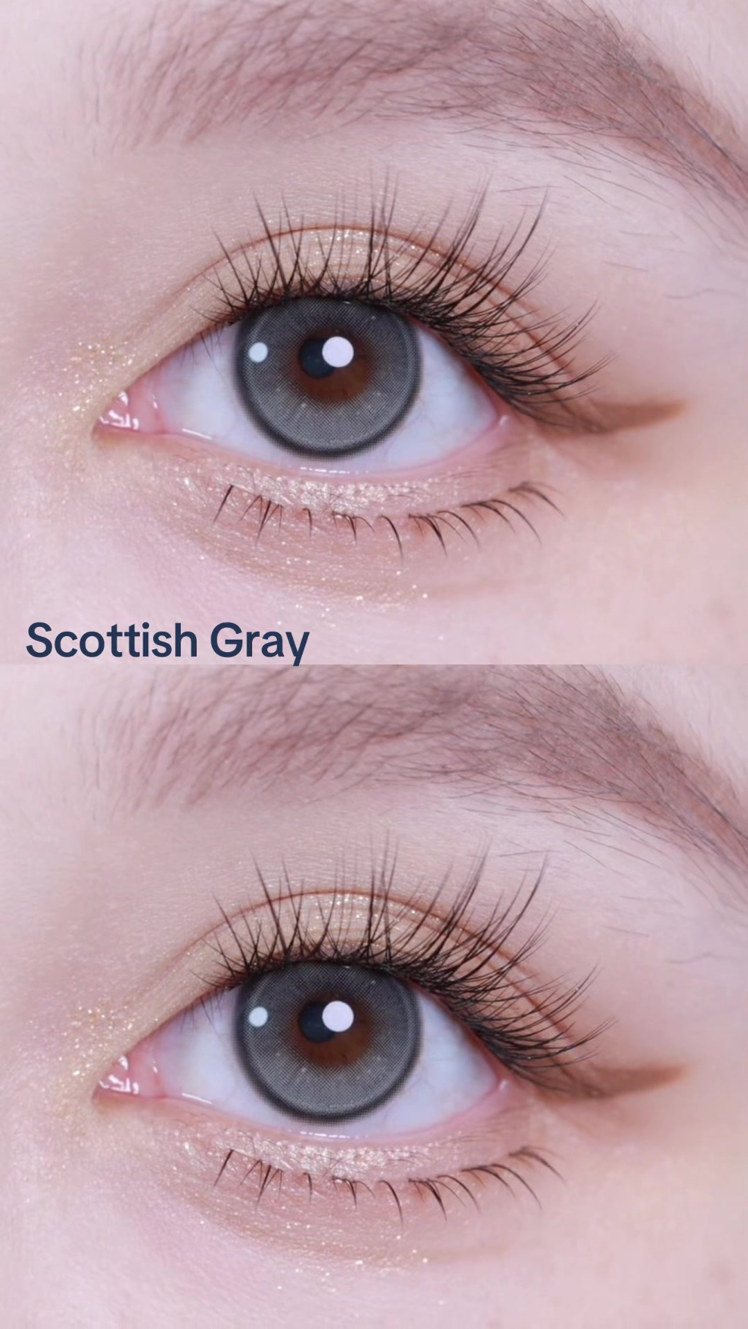 @Bae Lenses