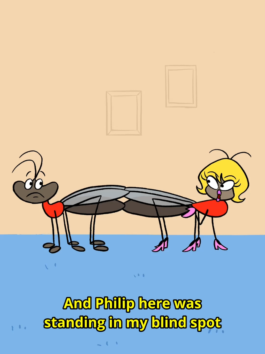 @Ross Bollinger