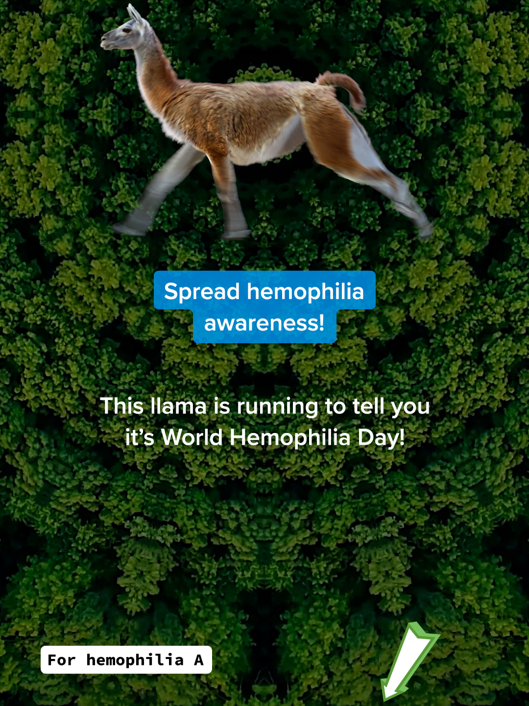 @HEMLIBRA (emicizumab-kxwh)