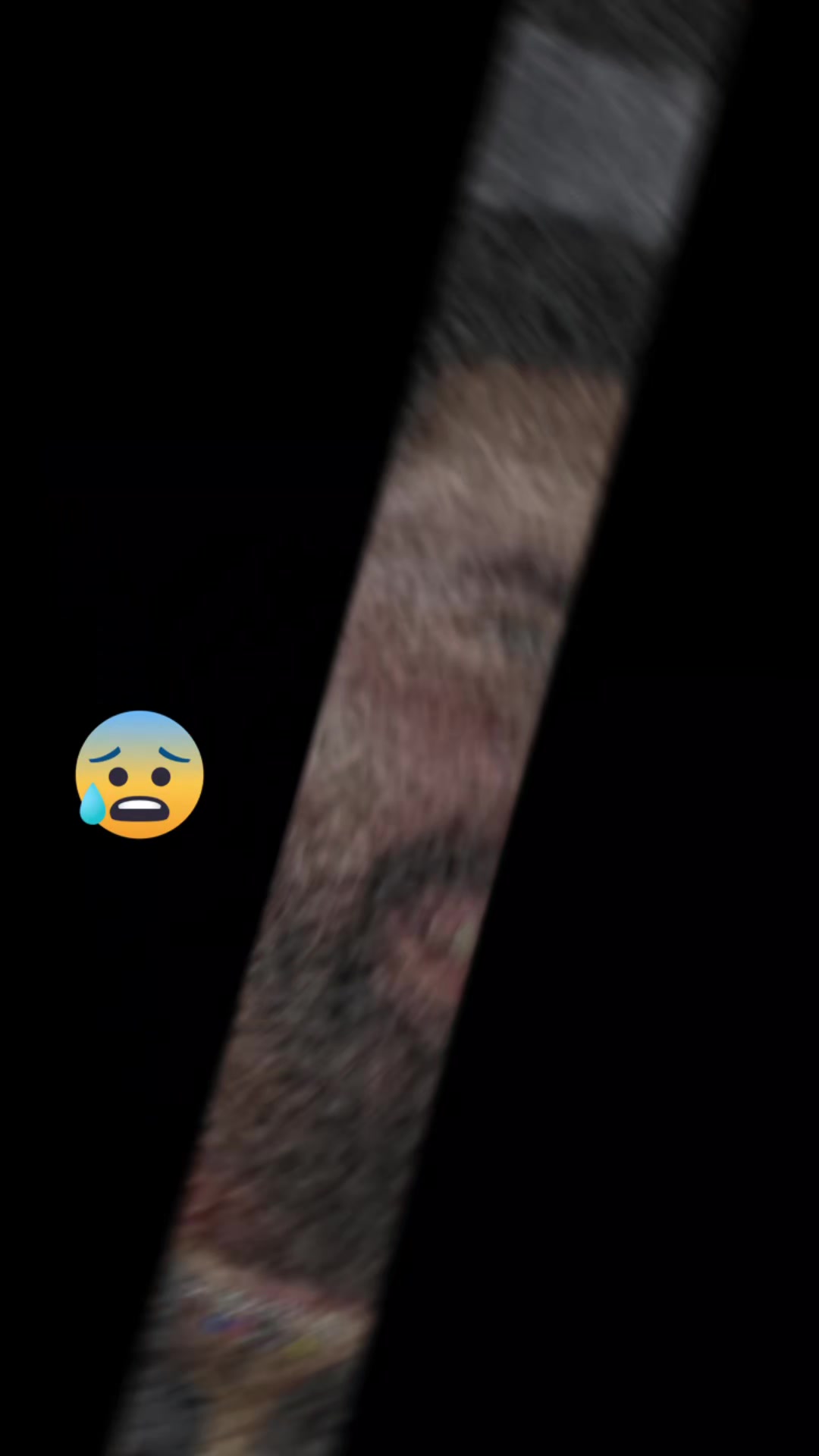 @abubkerkhan313