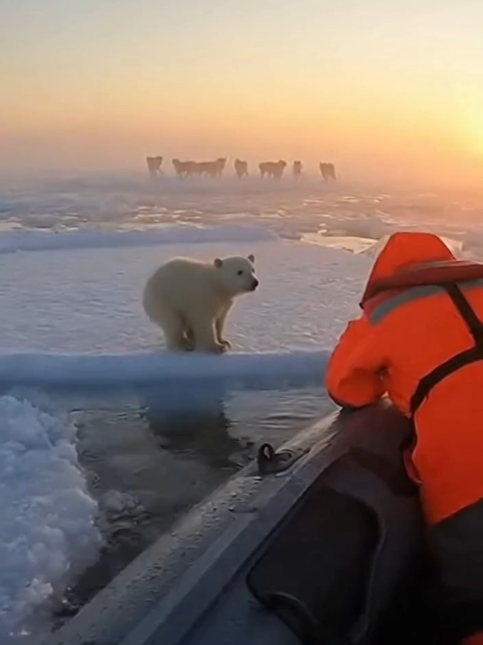 @GuardianMoments