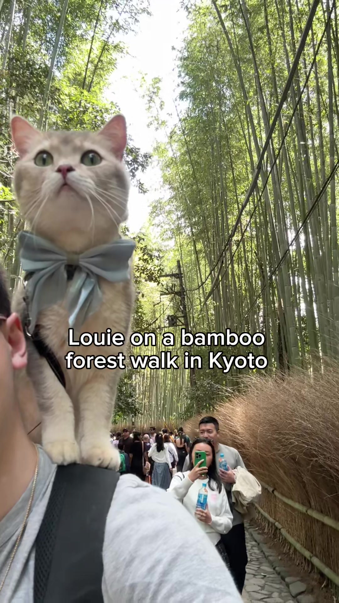 @Prince Louie 🦁 & Todd 🐼