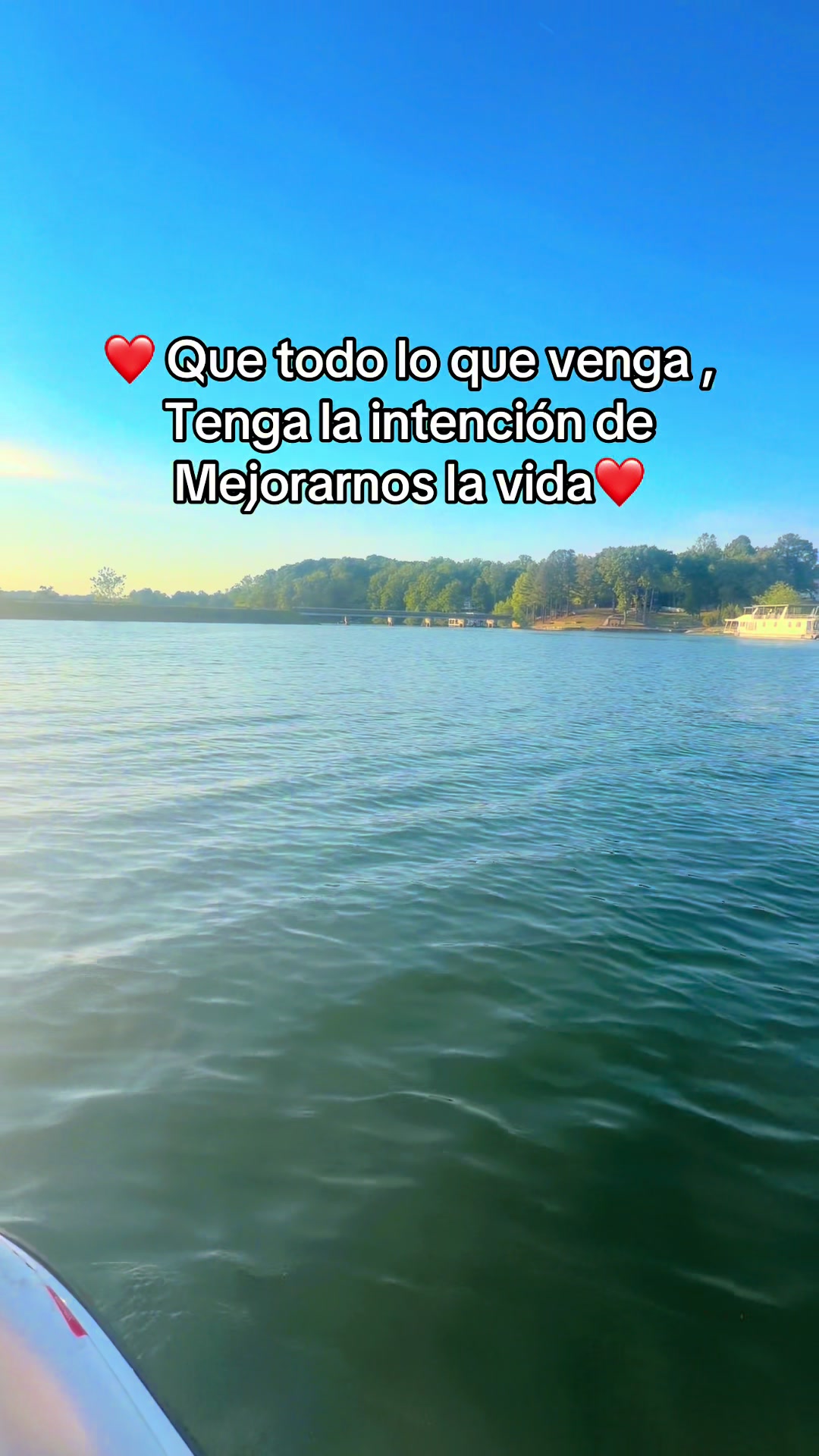 @Rosy Castillo