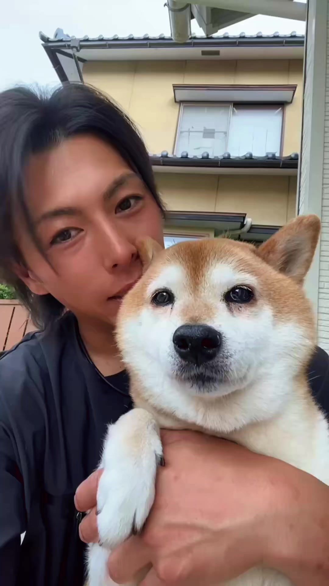 @ムックパパ🔶🐾