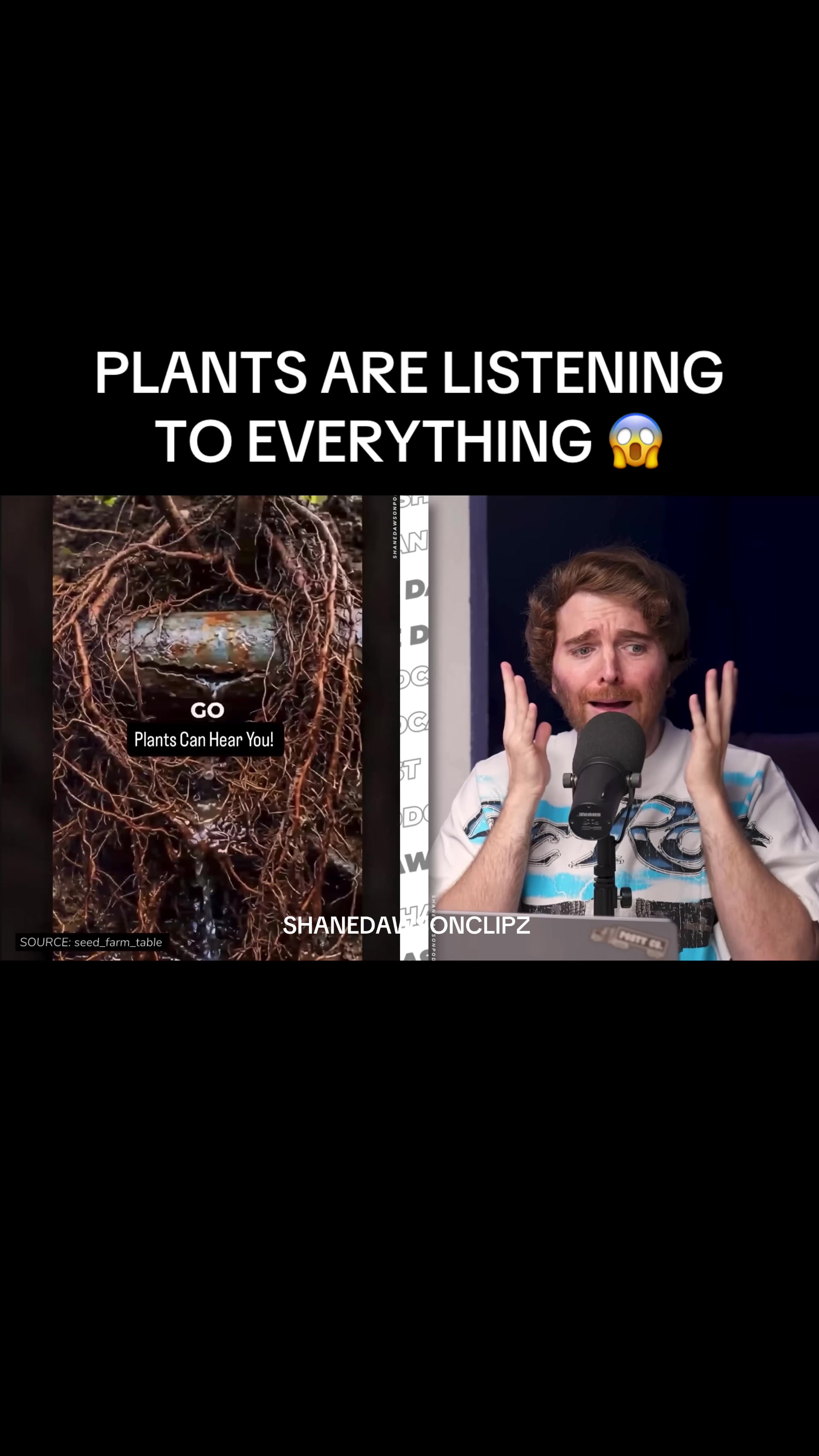 @Shanedawsonclipz