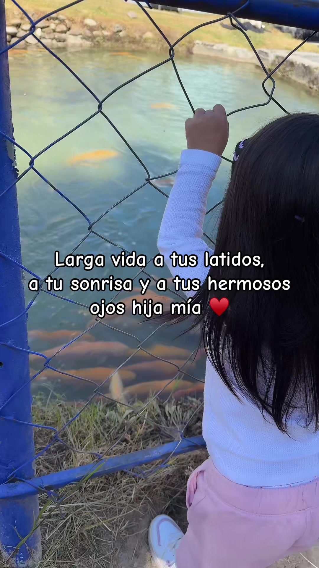 @Leslie