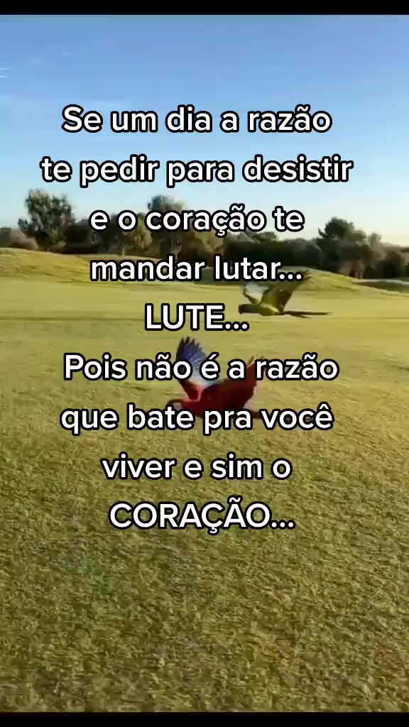 @ᑭEᗪᖇO_ᑭᗩᑌᒪO.OᖴIᑕIᗩᒪ