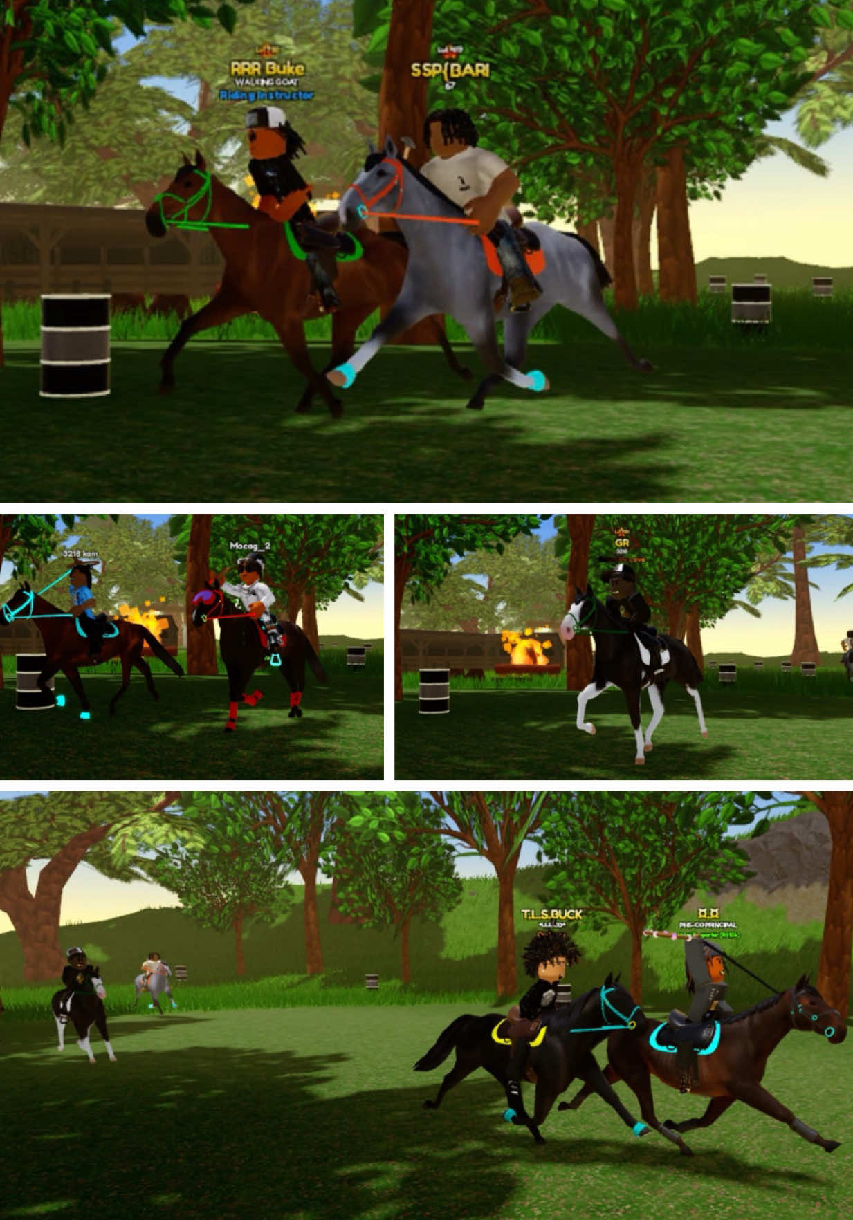 @3218stables.chris