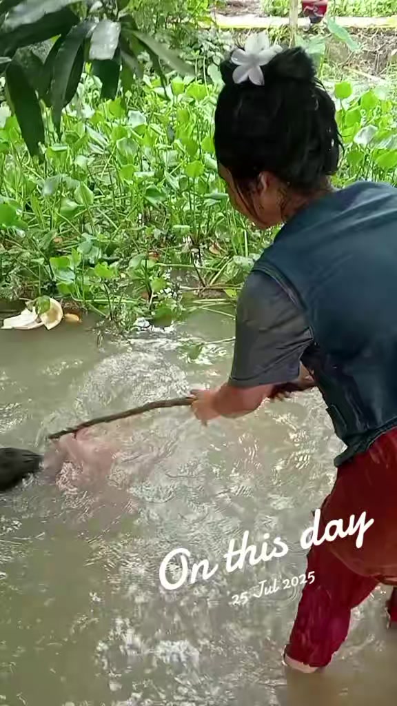 @🖤🖤 বরিশালের মেয়ে🖤🖤