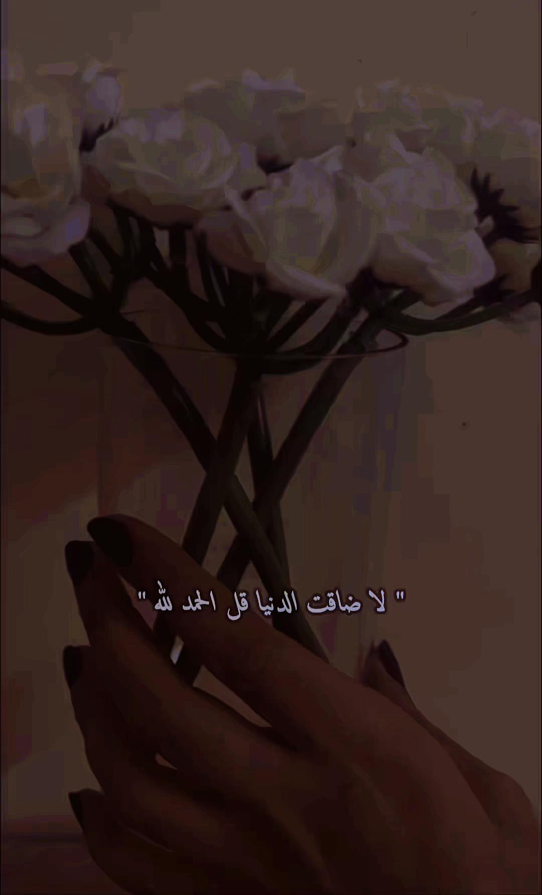 @sha1461