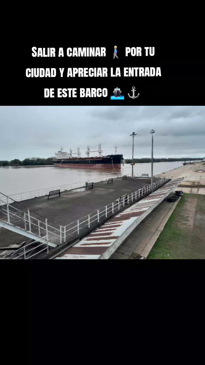@luchoalvareztiktoker