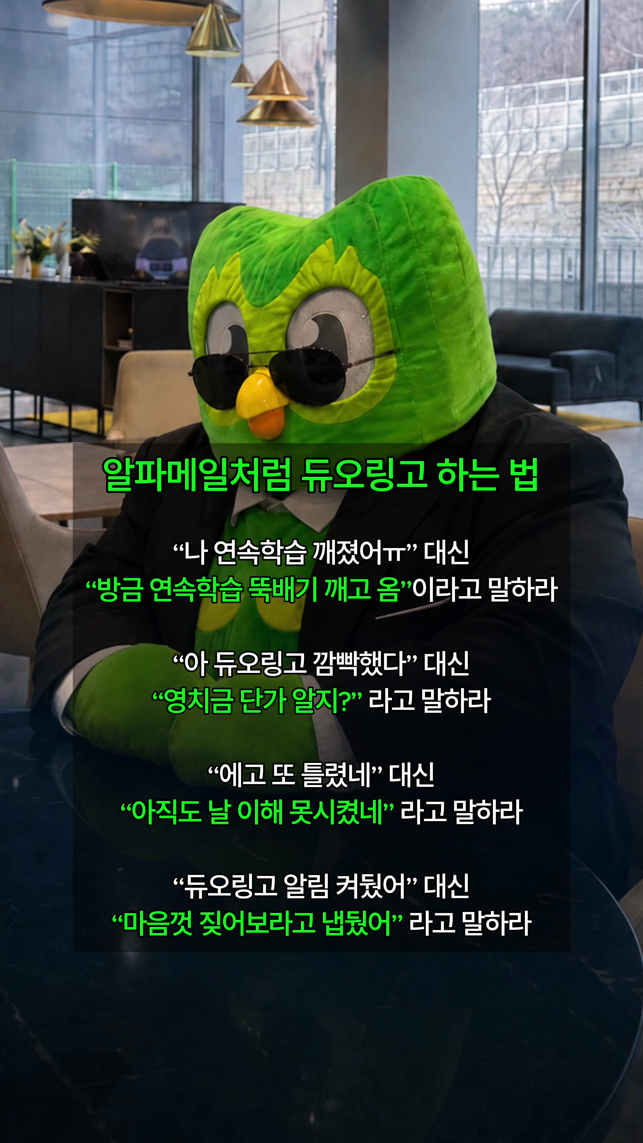@duolingokorea