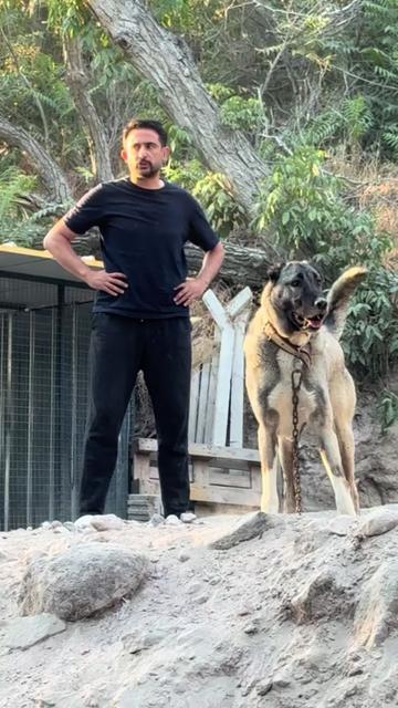 @alperkoramaz panter kangalları