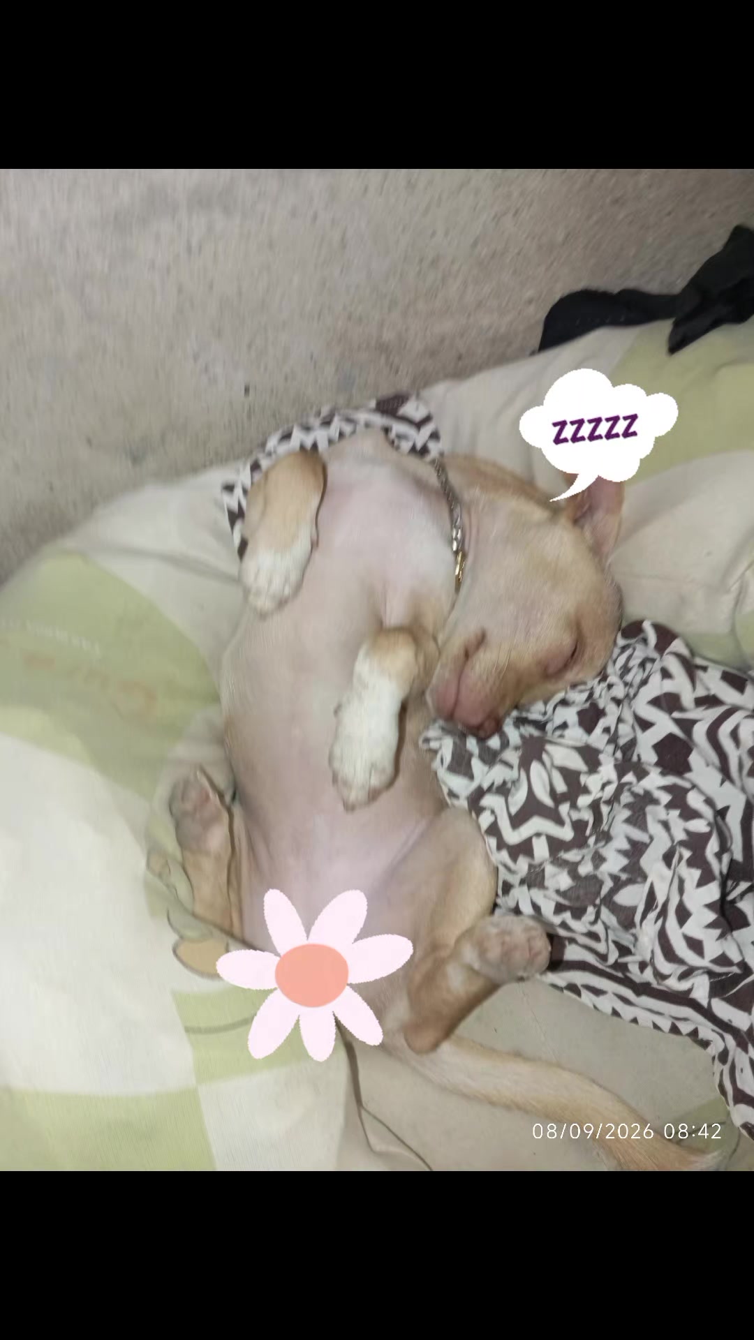 @Sandy 🍒😻