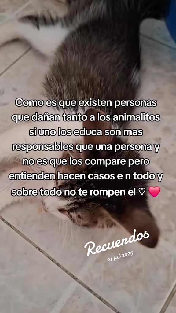 @Nel
