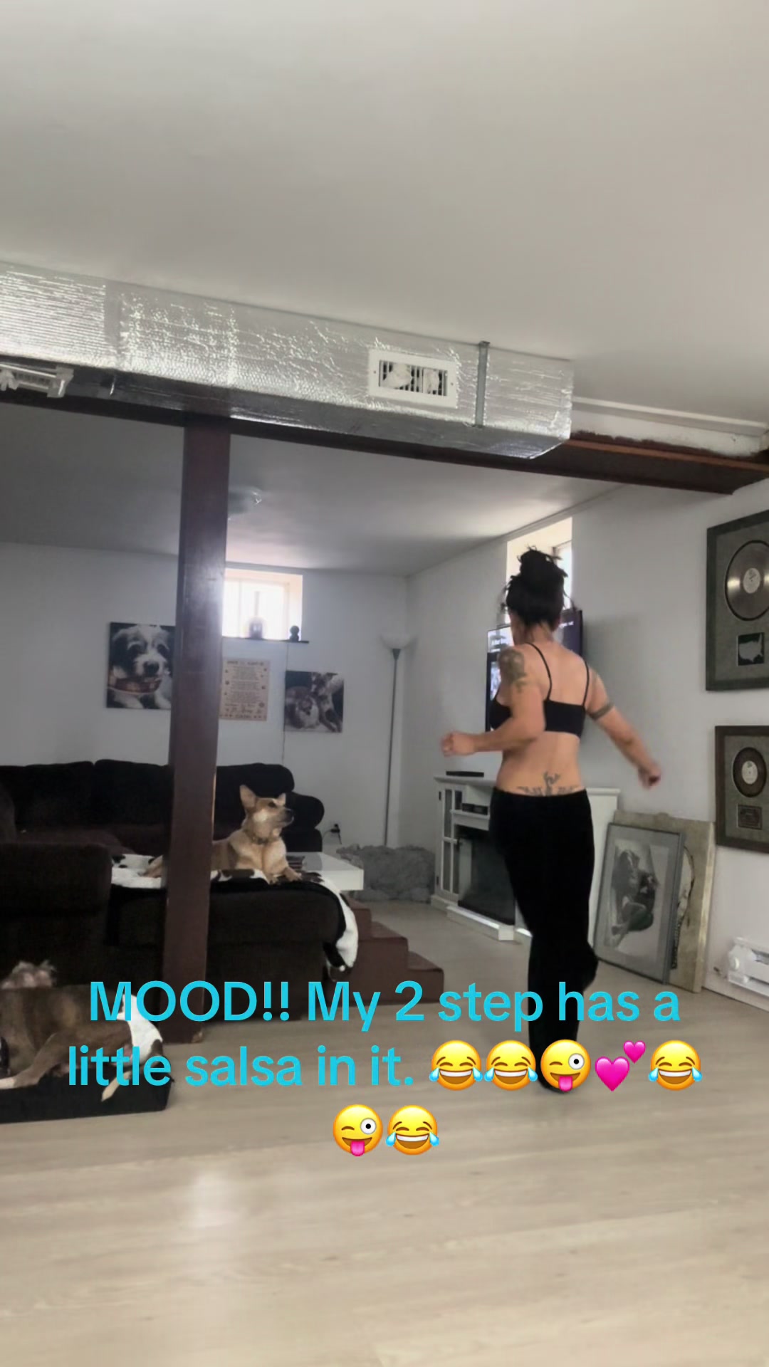 @dogmom76