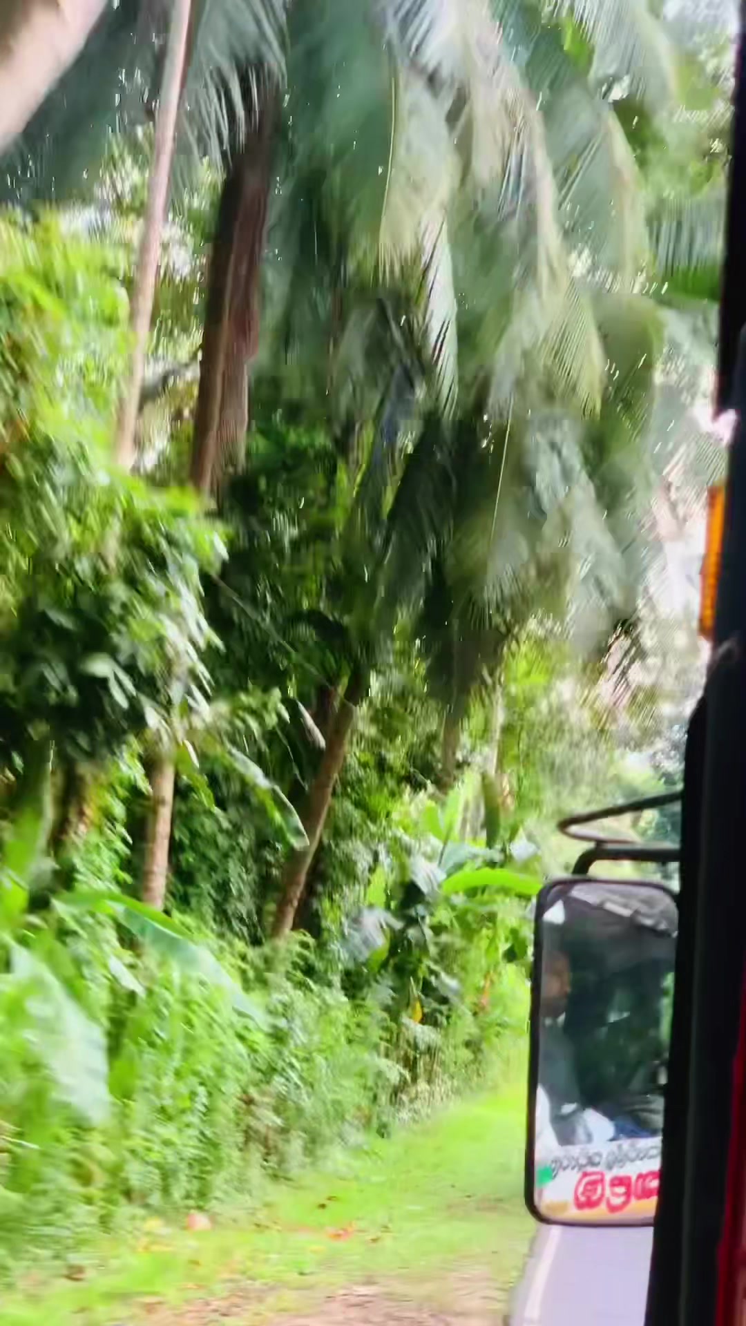 @කෙට්ටුවා 🫤