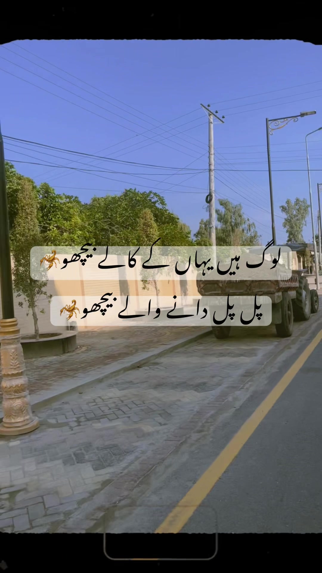 @Niazi Kuri ❤️
