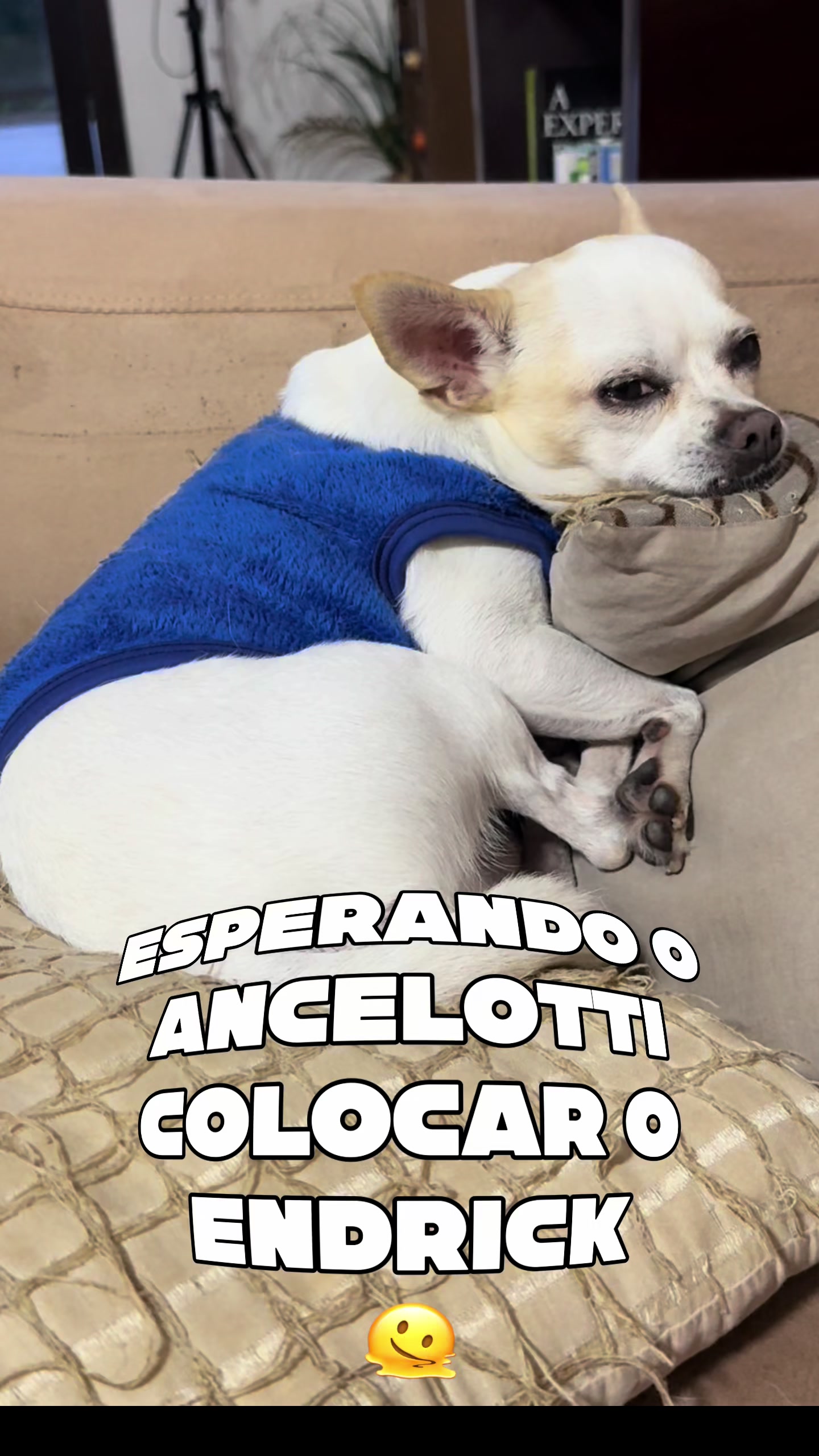 @Patrícia Cal
