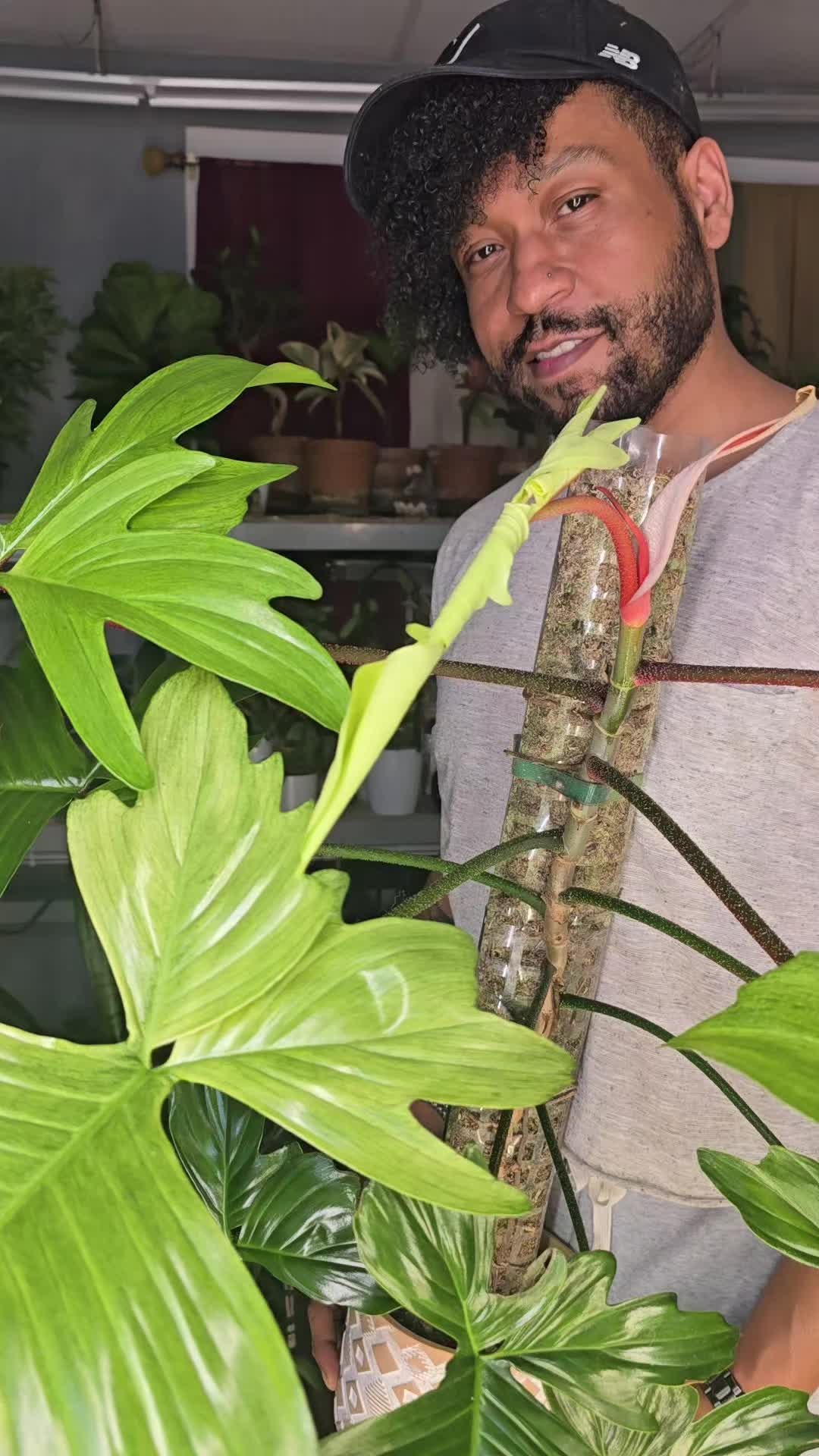 @JT - BigEGOPlants