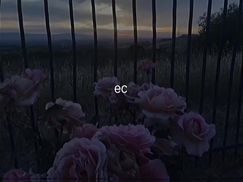 @снюс
