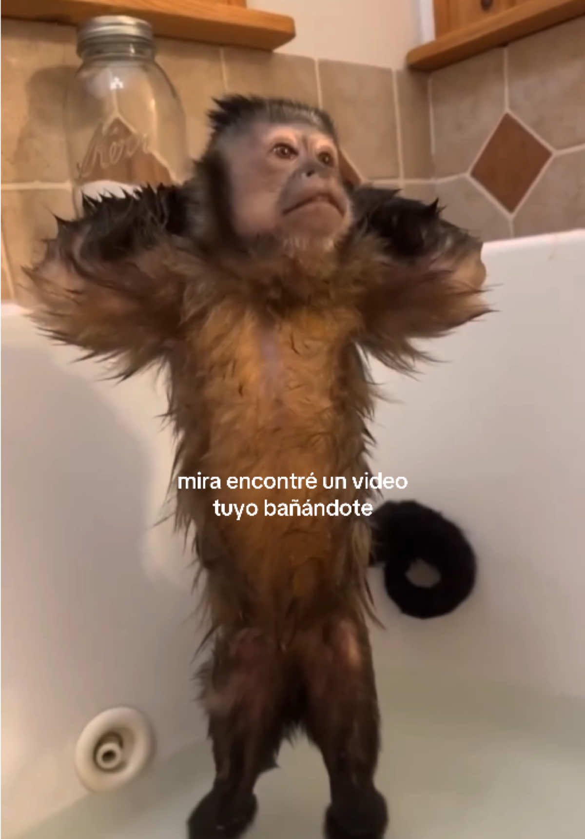@daismined