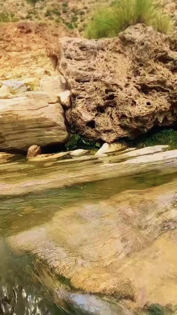 @𝐀𝐳𝐢𝐳