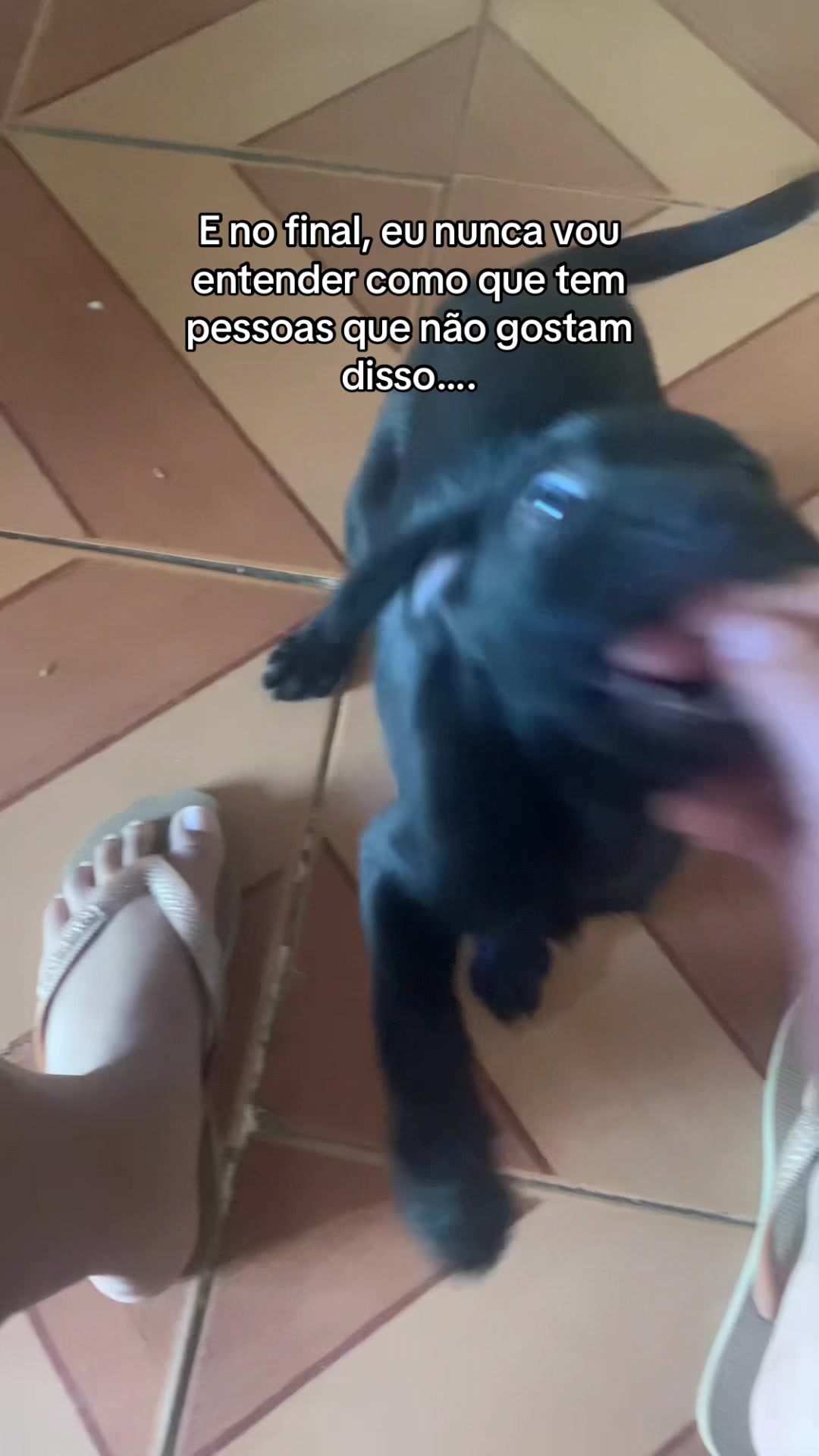 @Fernanda