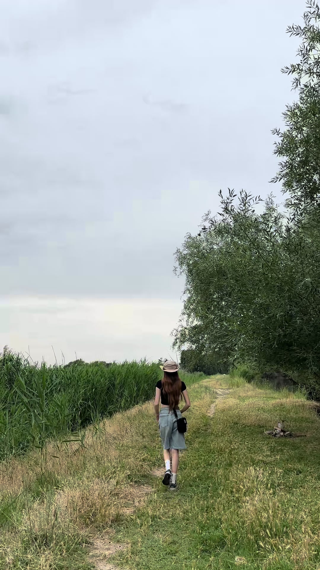 @alinys