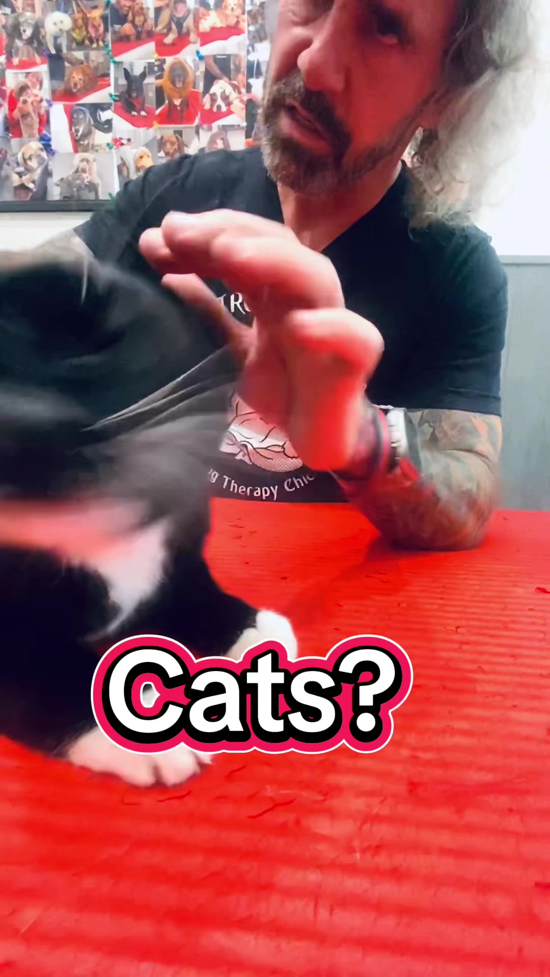 @ArfitDogRehabFitness