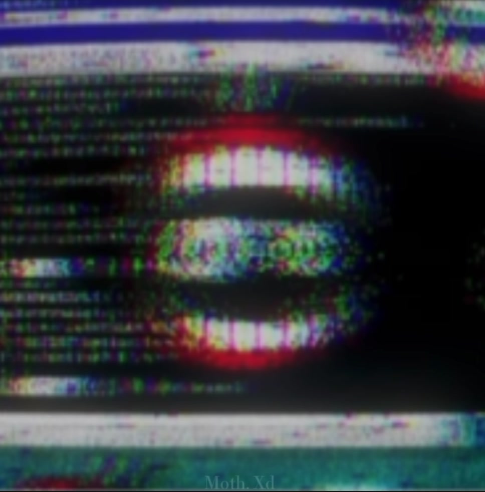 @✦The editor✦