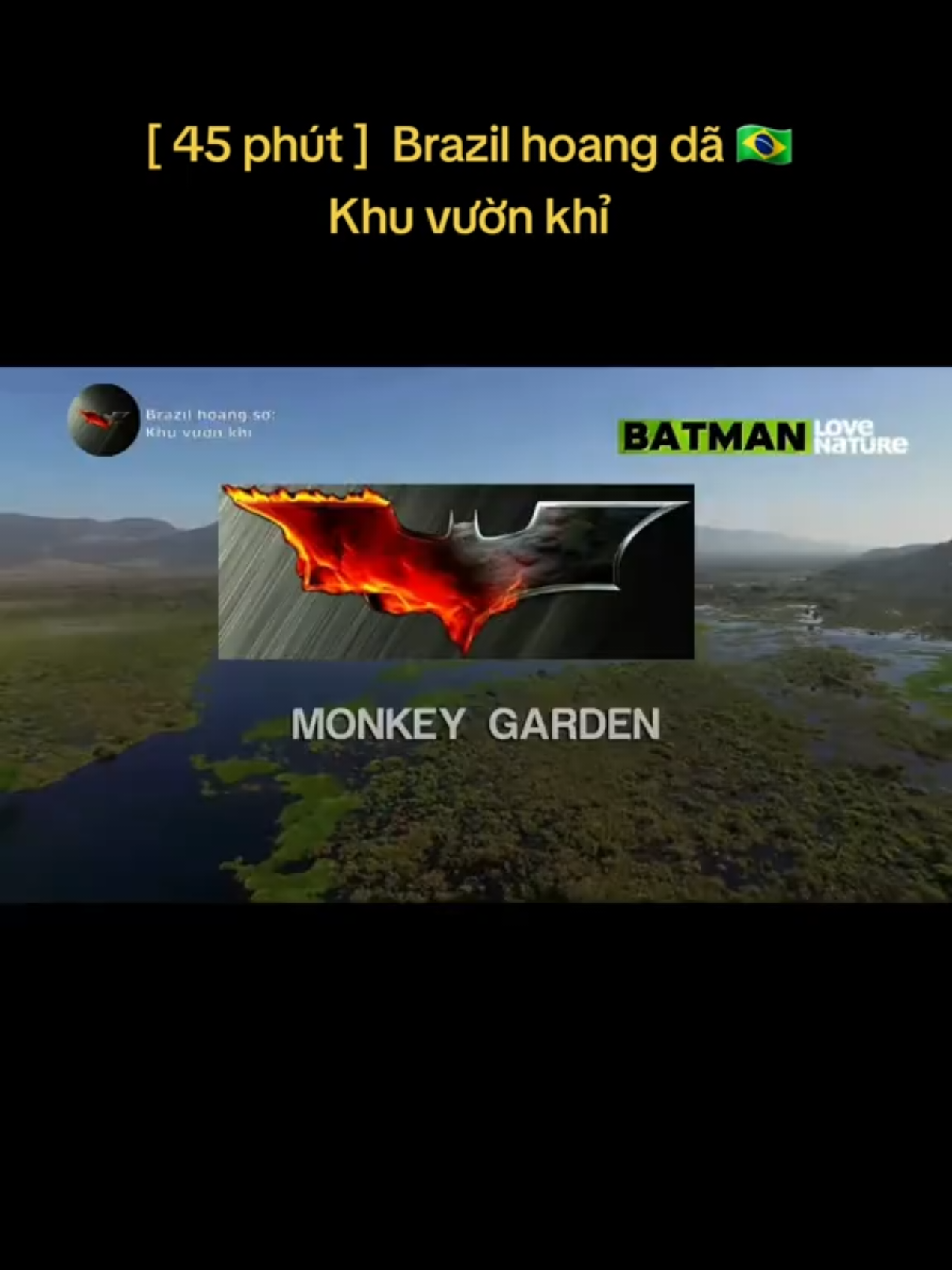 @🌏 BATMAN