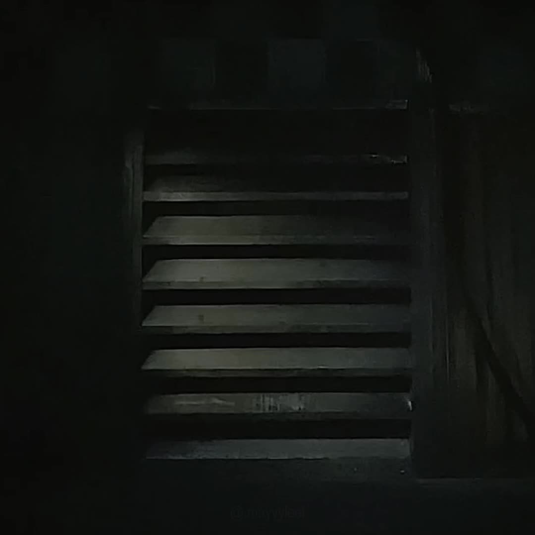 @𝘔𝘢𝘺⁹