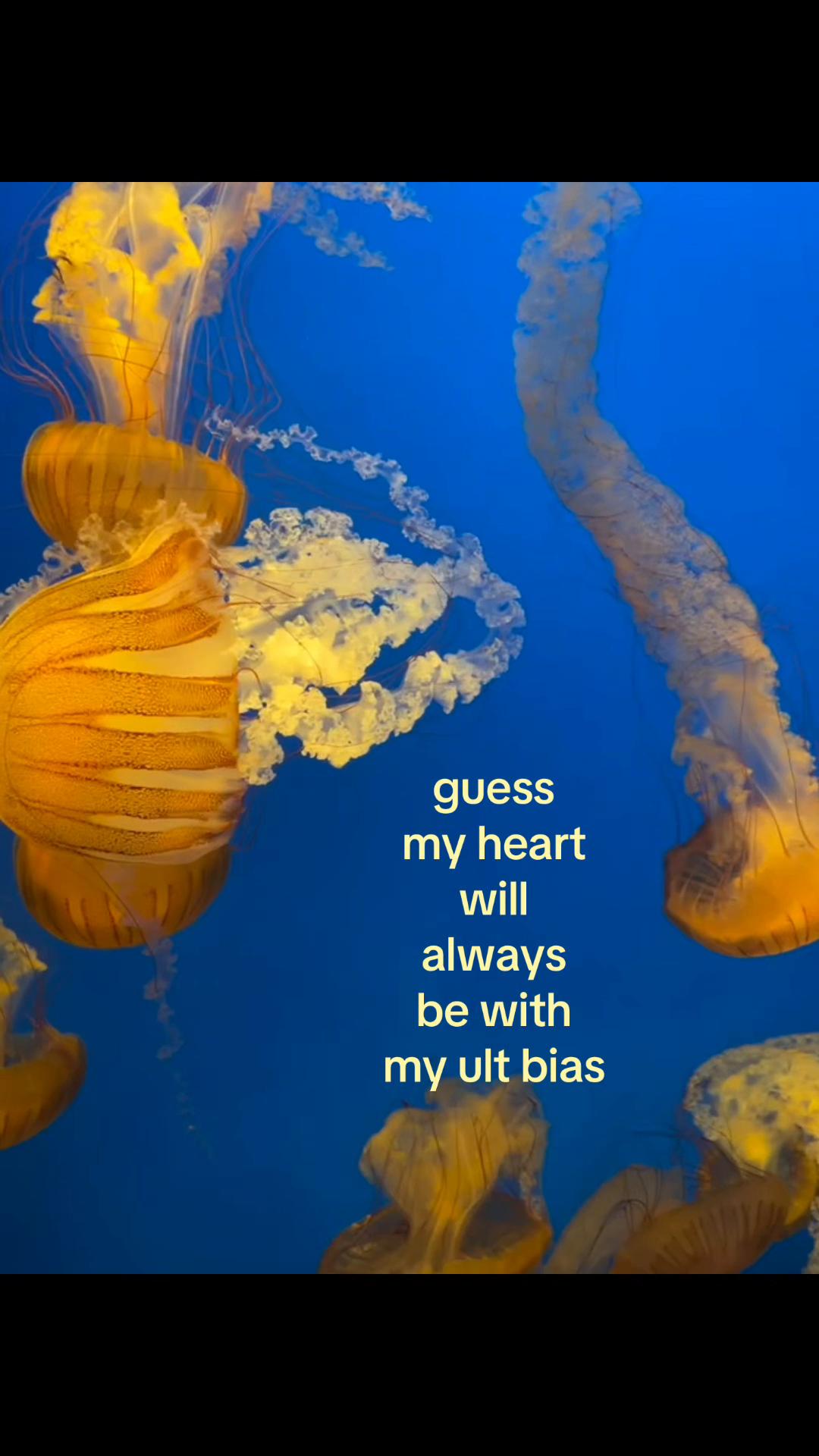 @kyo