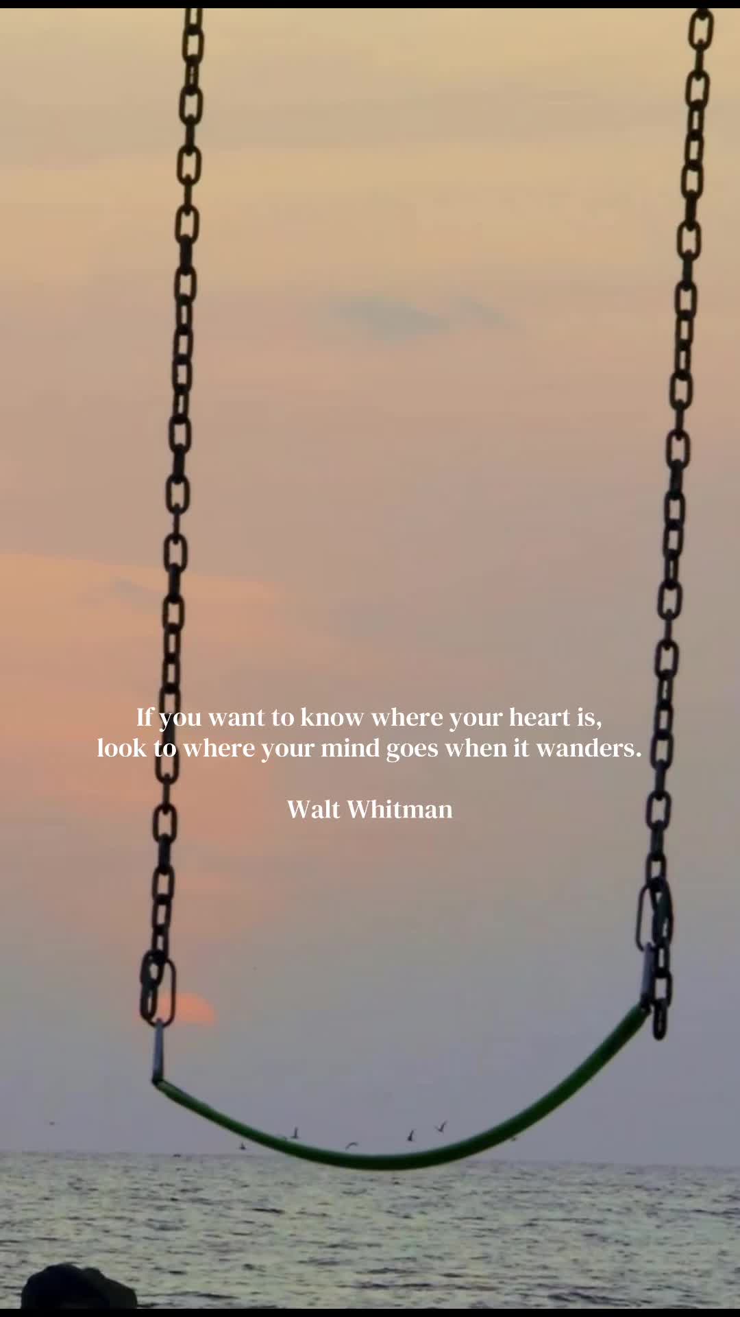 @✨🌑l.m. nightshade🌑✨