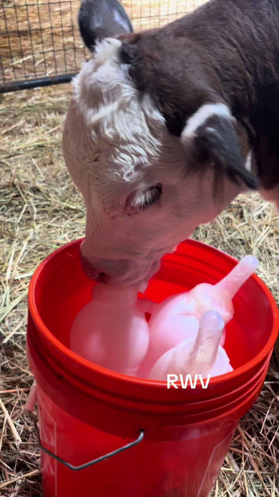 @RWV Land & Livestock