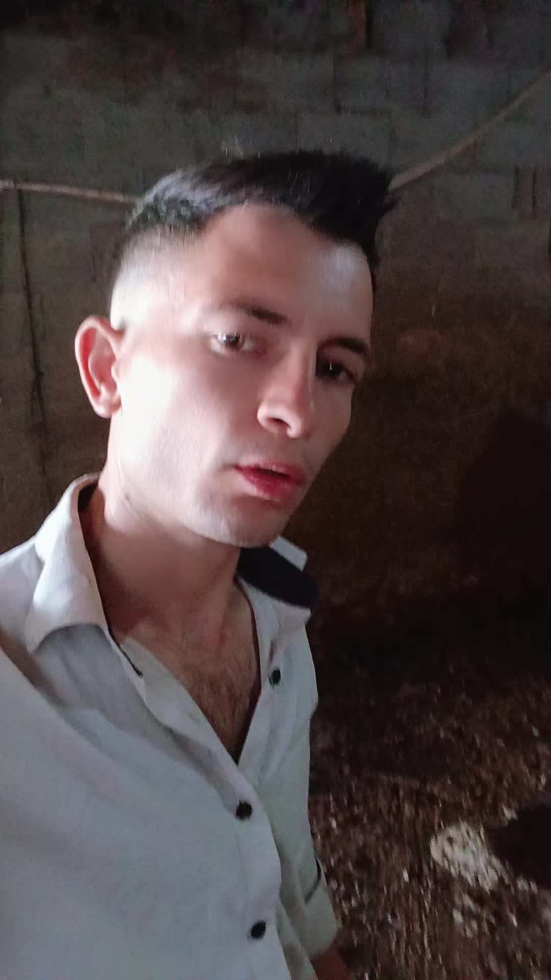 @Hamza Dogan