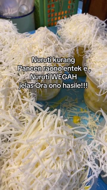 @Jasuke molor bandungan