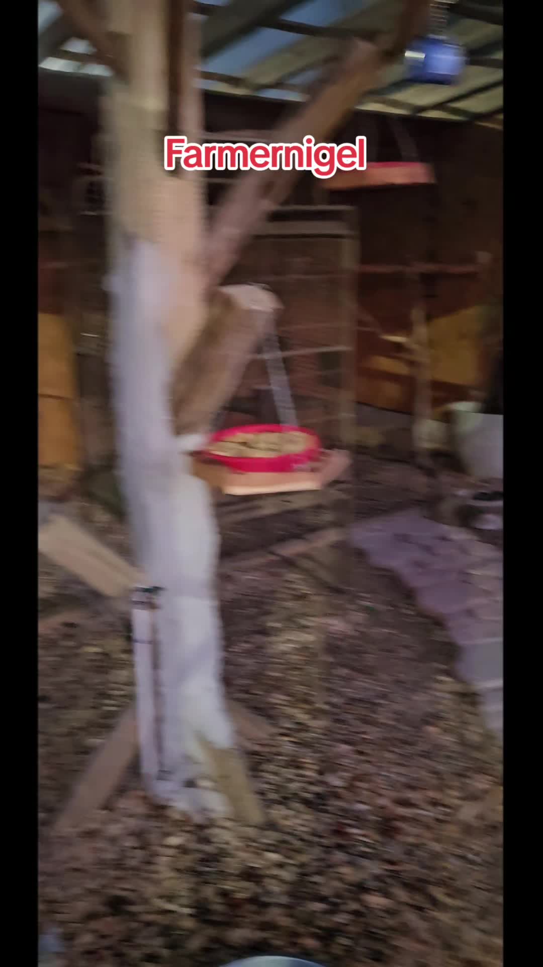 @Farmer Nigel