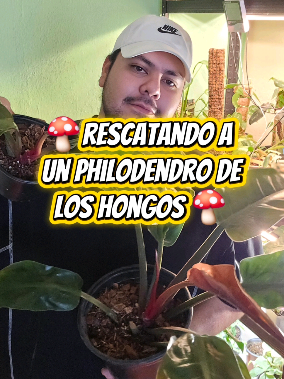 @🌱Plantonio🌱