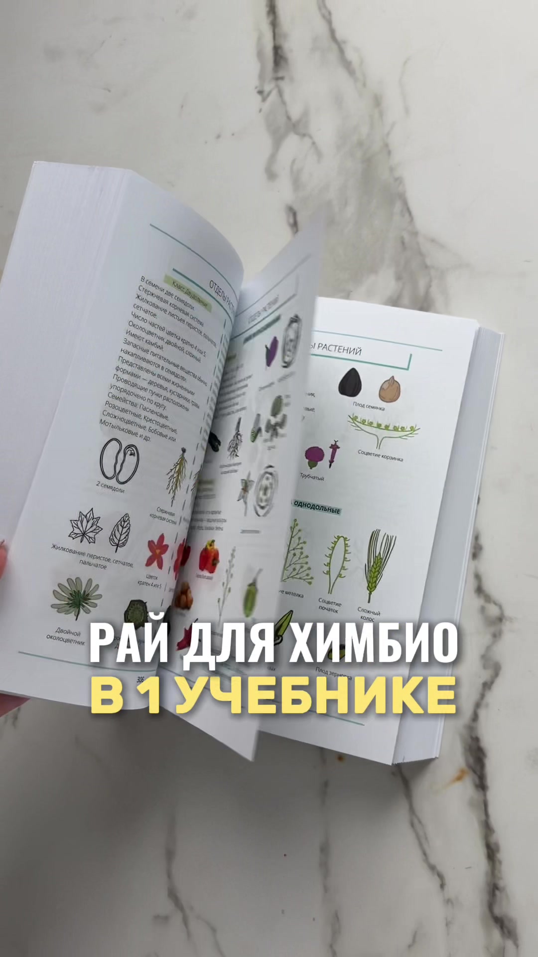 @Алёна Бриз