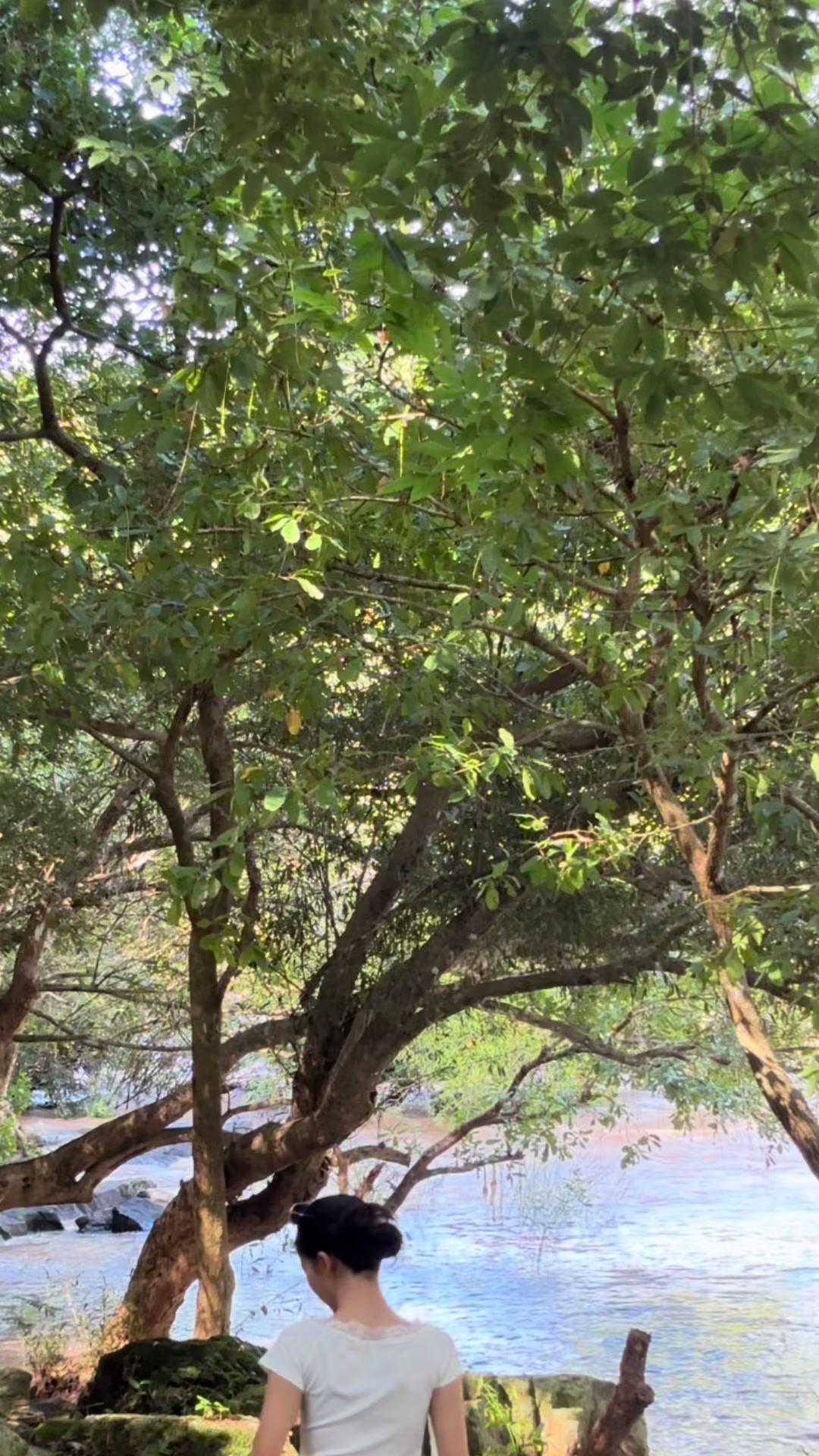 @น้ำมนต์