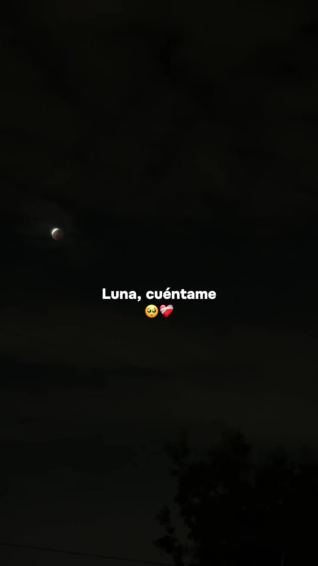 @Evy✨🩵