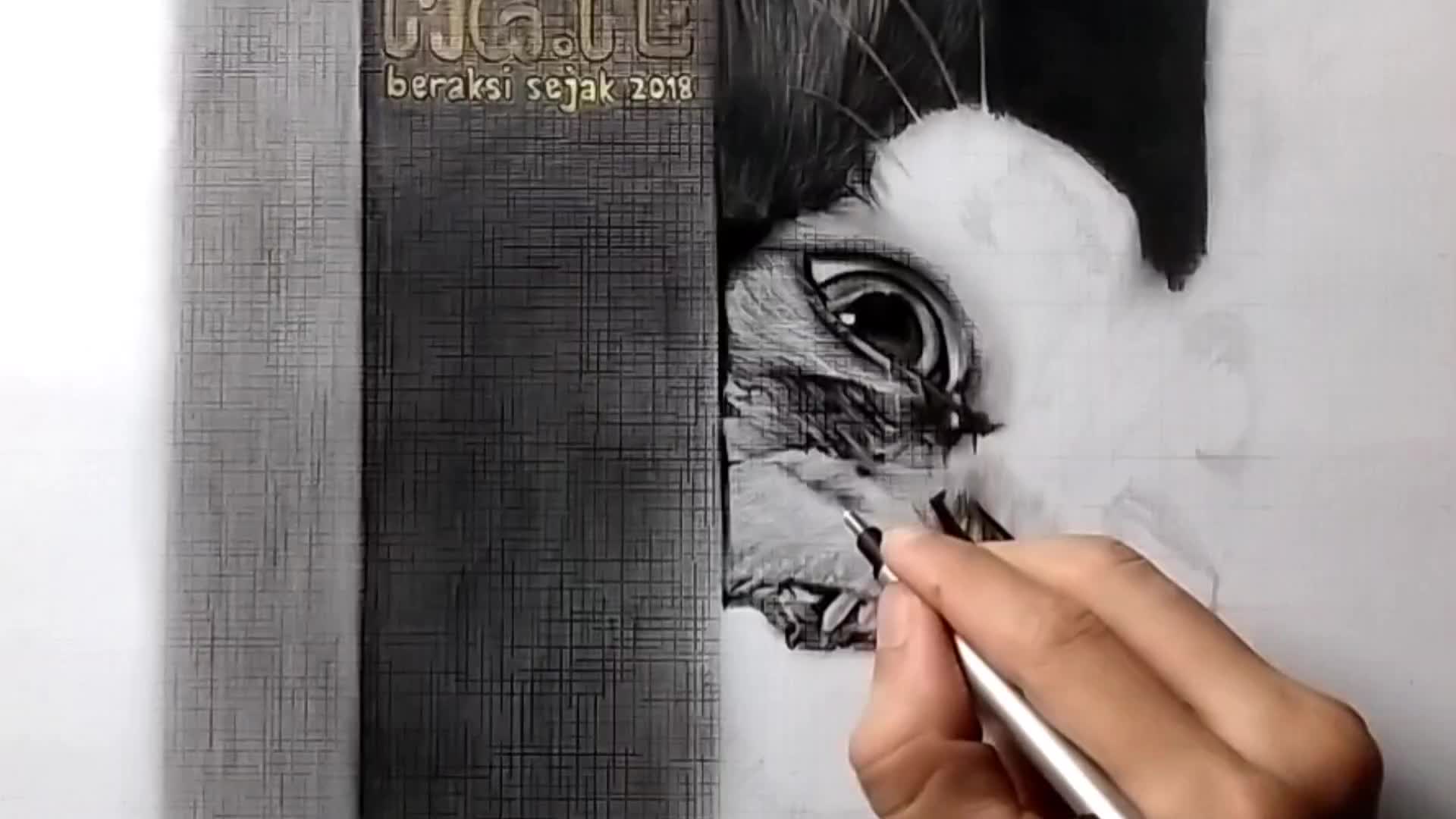 @elevencent.artc