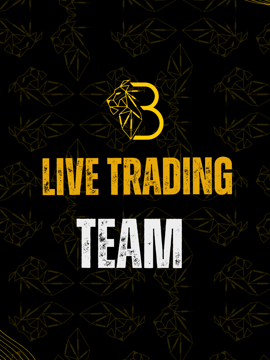 @BirrForex