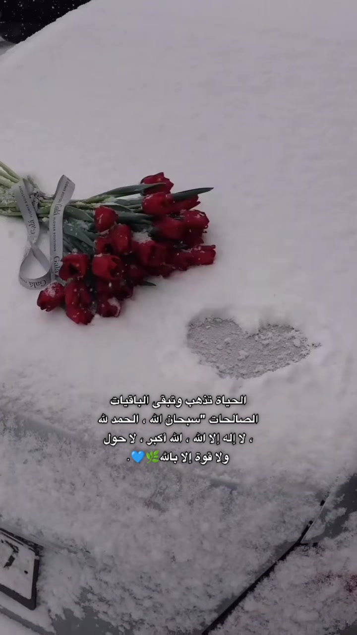 @__Shaim1.a❤️🔥