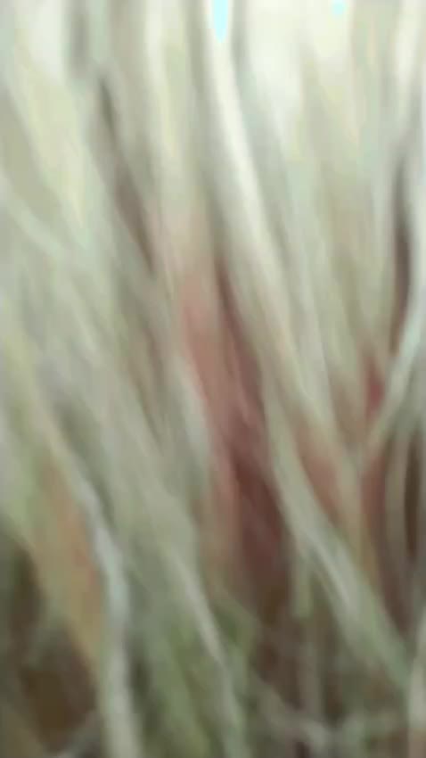 @Aashu__🌈