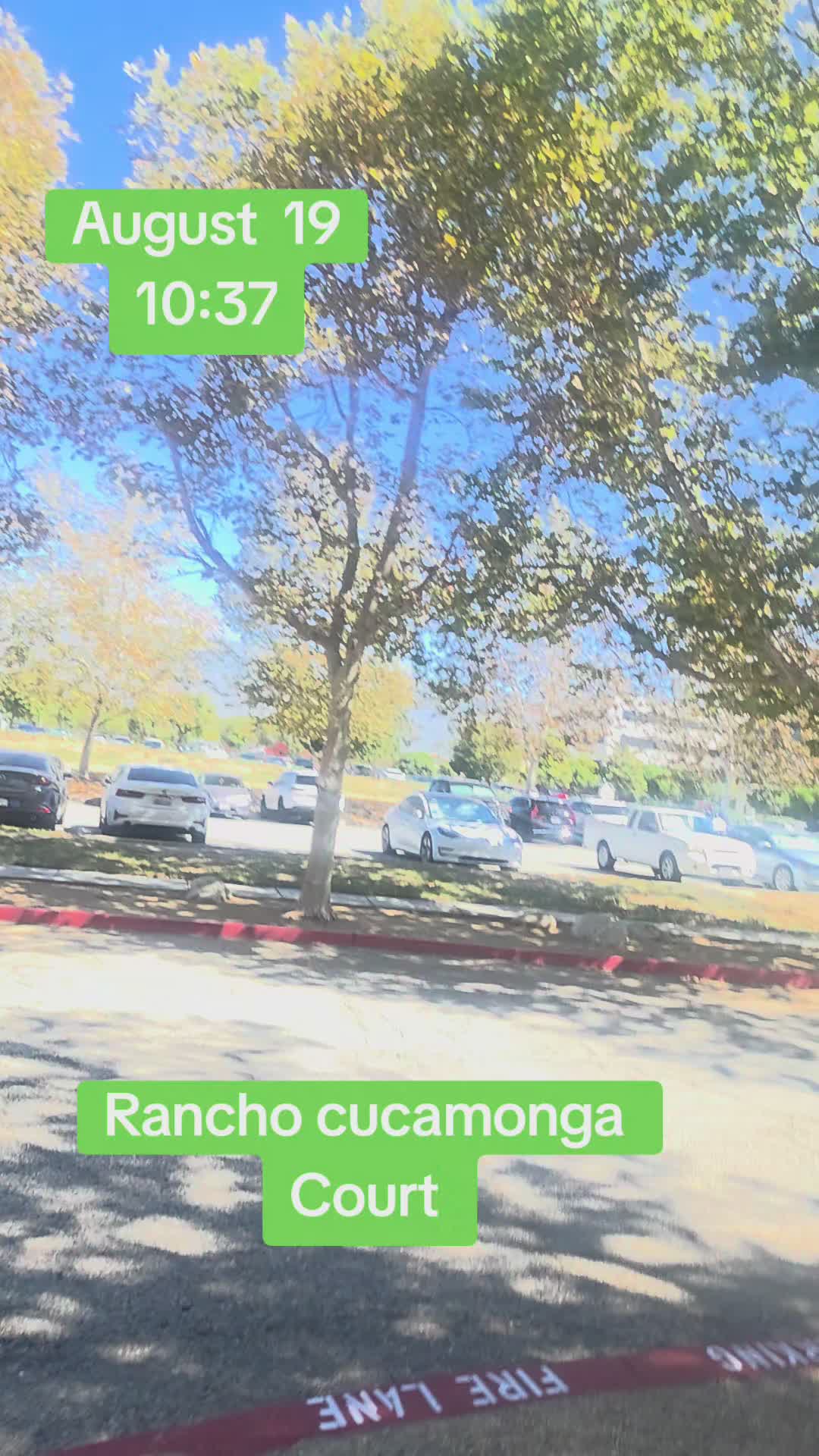 @chapis2479